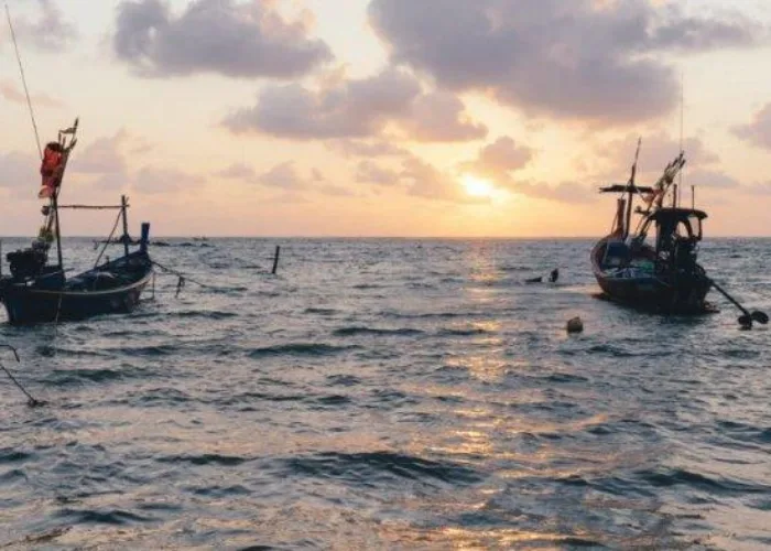 Ilegal Fishing Kapal Pukat Harimau Masih Marak di Pesisir Riau