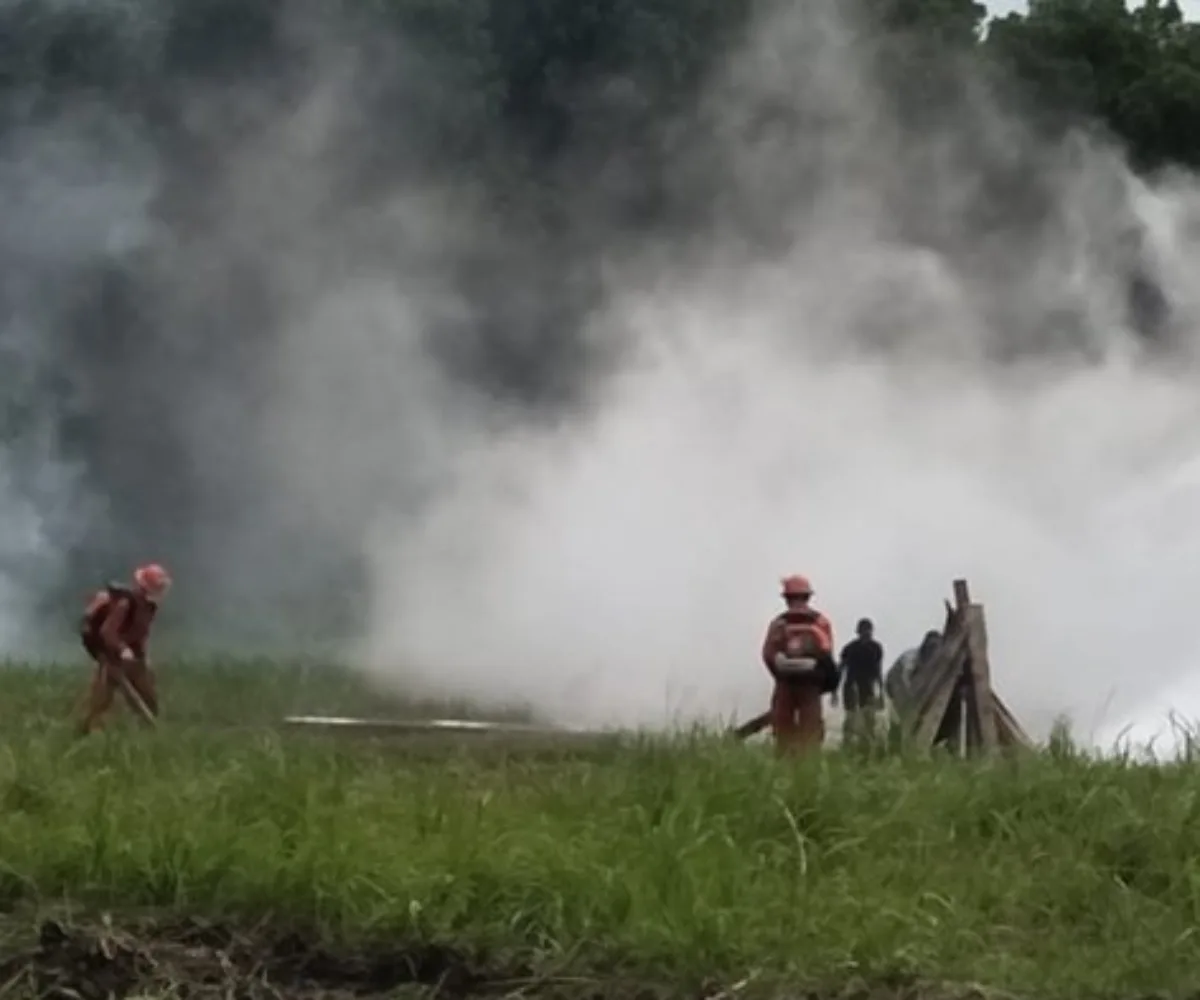 Karhutla Riau Melonjak 17 Kali Lipat, 15.477 Hektare Ludes Terbakar
