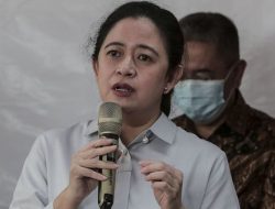 PDI Perjuangan Umumkan 75 Calon Kepala Daerah, Riau 6 Pasangan Calon