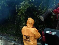 Relawan TRC Semen Padang Evakuasi Pohon Tumbang di Jalan Lintas Padang-Solok
