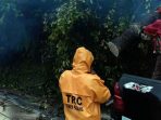 Relawan TRC Semen Padang Evakuasi Pohon Tumbang di Jalan Lintas Padang-Solok