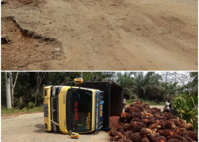Truk Bermuatan Sawit Sering Terbalik, Warga Berencana Blokir Jalan