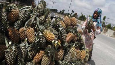Cobalah Makan Nanas dan Rasakan Enam Manfaatnya Bagi Kesehatan