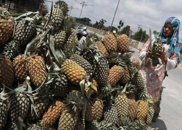 Cobalah Makan Nanas dan Rasakan Enam Manfaatnya Bagi Kesehatan