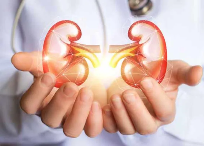 Waspada! 4 Kebiasaan yang Dikira Sehat Ini Justru Diam-Diam Merusak Ginjal