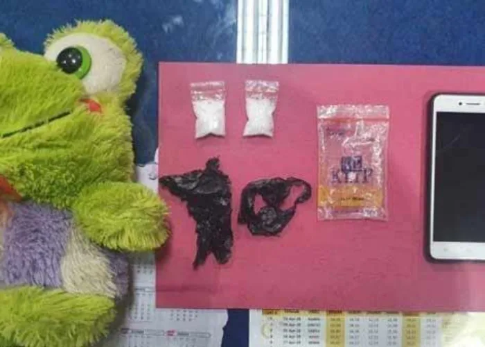 Dua Pemuda Ini Tak Berkutik Saat Polisi Temukan Sabu dalam Boneka Kodok Hijau