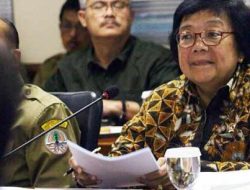 637.000 Ha Lahan Mangrove di Sembilan Provinsi Kritis