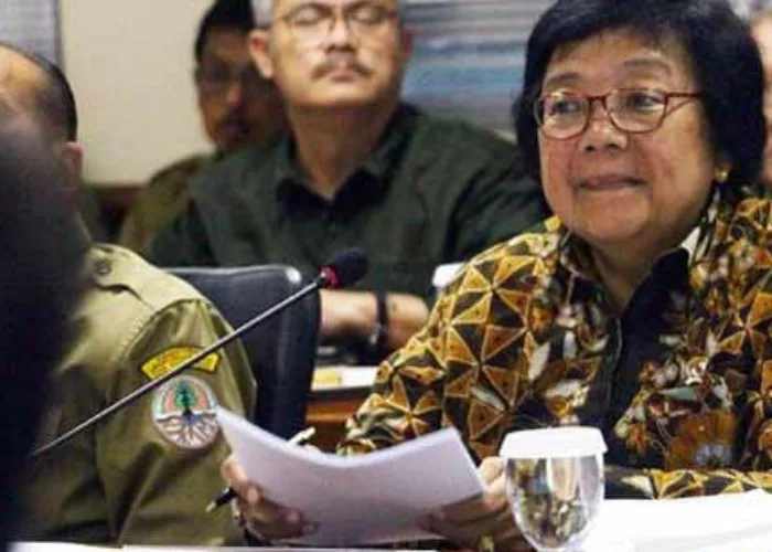 637.000 Ha Lahan Mangrove di Sembilan Provinsi Kritis