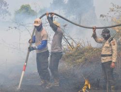 651 Hektare Lahan di Riau Ludes Terbakar