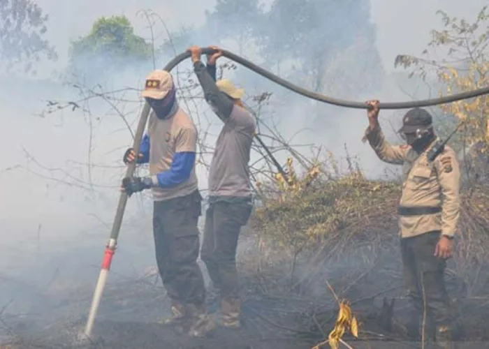 651 Hektare Lahan di Riau Ludes Terbakar