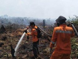 55,71 Hektare Terbakar, BPBD Pinjam Tiga Helikopter ke BNPB