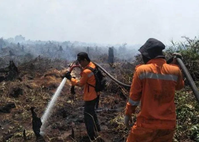 55,71 Hektare Terbakar, BPBD Pinjam Tiga Helikopter ke BNPB