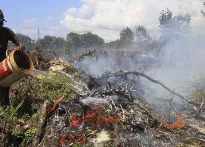 Riau Siaga Darurat Karhutla