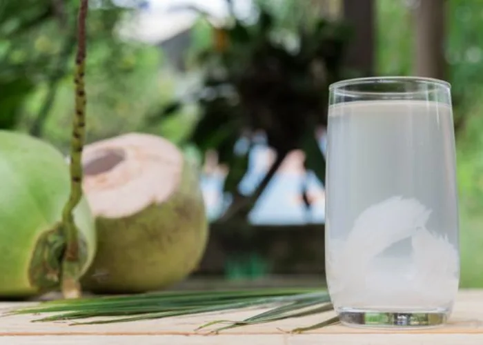 3 Minuman Bertikut Ternyata Bisa Membantu Detoks Hati dan Ginjal