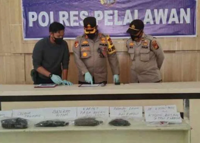 Remaja 17 Tahun Pembunuh Gadis Pelajar SMP di Pelalawan Riau Terancam 15 Tahun Penjara