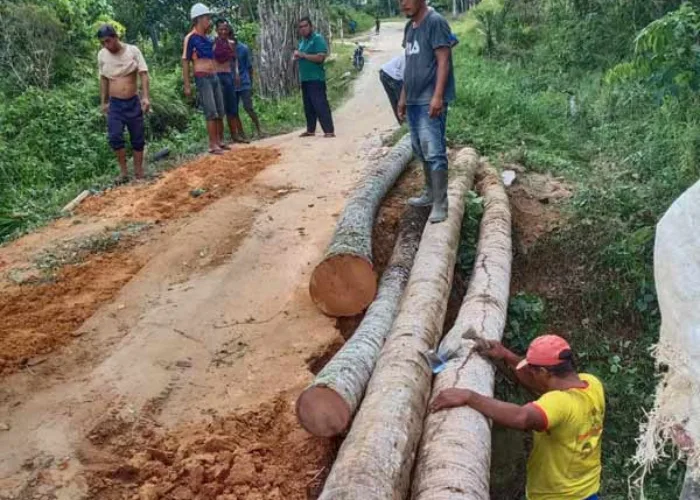 Jembatan Penghubung Antar Desa di Inhu Rusak Parah, Warga Goro Memperbaiki