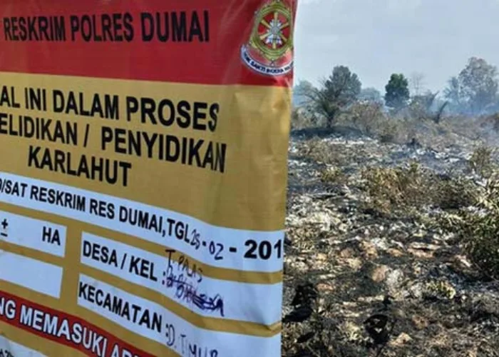 BPBD Tetapkan 159 Desa di Riau Rawan Karhutla