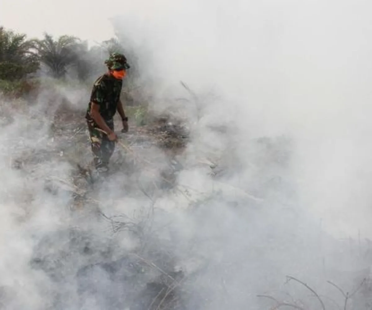 Hotspot Riau Bertambah Jadi 11 Titik, BMKG: Waspada Karhutla di Inhu dan Kuansing