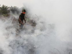 Januari – Juli 2022, Sudah 1.043 Hektare Lahan di Riau Terbakar