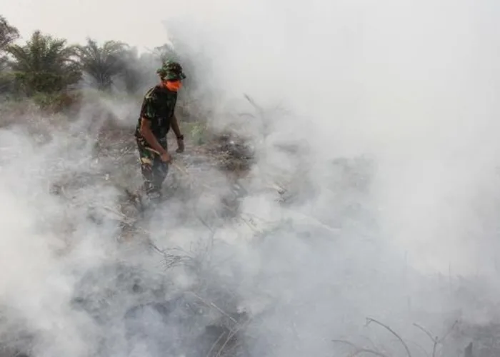 Januari – Juli 2022, Sudah 1.043 Hektare Lahan di Riau Terbakar