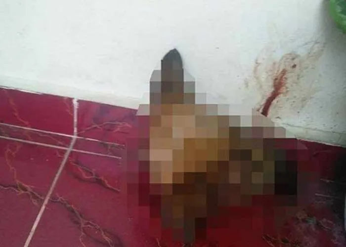 Pelaku Teror Kepala Anjing di Rumah Pejabat Kejati Riau Ditangkap