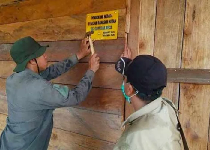Kebakaran Hutan Giam Siak Kecil Riau Padam, Petugas Temukan 2 Pondok, Ketegasan Penegak Hukum Dinanti