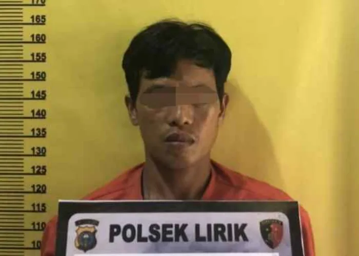 Karyawan Swasta di Lirik Garap Anak Tiri Hingga Melahirkan, Kini Ditahan Polisi