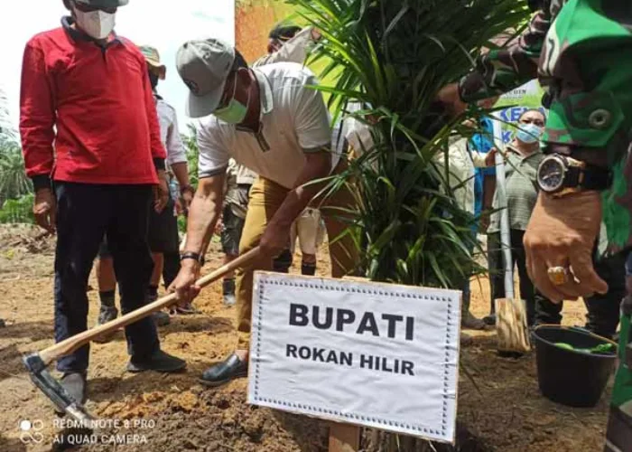 Tanam Perdana Program PSR KUD Karya Mandiri, Bupati Suyatno: Rohil Istimewa