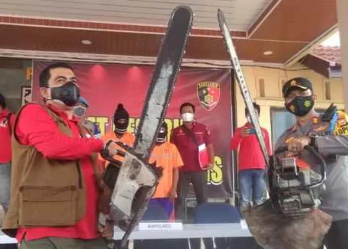 Pelaku Pembalakan Liar di Bengkalis Riau Ditangkap