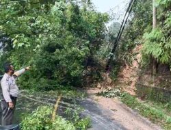 Jalan Lintas Sumbar-Riau di Kampar Putus Total Akibat Longsor, Inilah Kondisi Terkini!