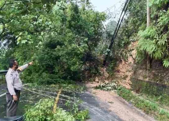 Jalan Lintas Sumbar-Riau di Kampar Putus Total Akibat Longsor, Inilah Kondisi Terkini!