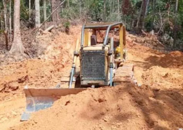 Dua Pembalak di Bukit Rimbang dan Bukit Baling Kuansing Riau Ditangkap, KLHK Buru Cukong