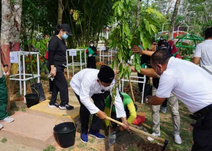Bupati Suyatno Resmikan Hutan Kota Bagan Siapiapi, Ada Air Mancur Tercantik di Riau