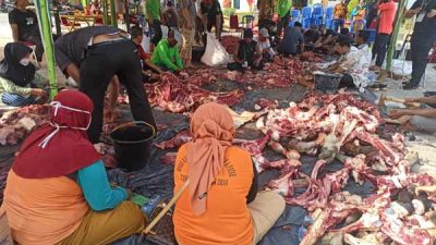 Idul Adha 1442 Hijriah, DLH Sembelih 9 Ekor Sapi