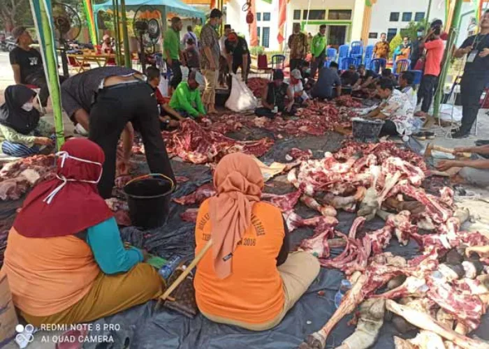 Idul Adha 1442 Hijriah, DLH Sembelih 9 Ekor Sapi