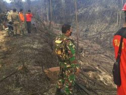 Hutan Lindung di Rohul Terbakar, Petugas Kewalahan Padamkan Api
