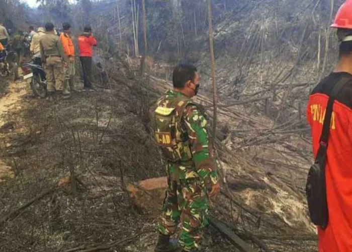 Hutan Lindung di Rohul Terbakar, Petugas Kewalahan Padamkan Api