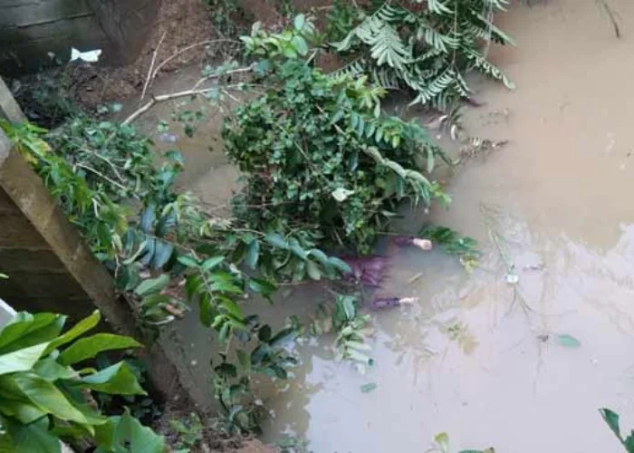 Warga Peranap Temukan Jasad Perempuan Mengambang di Sungai Kuantan