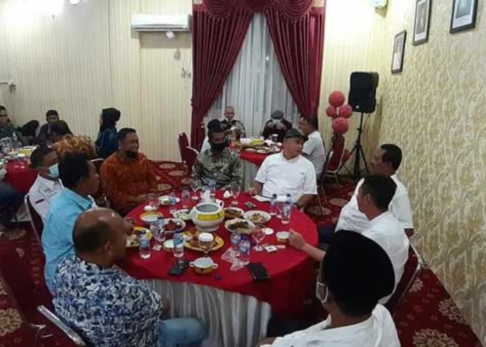 Bupati Afrizal Sintong Sebut Rohil Dapat Dana Pendukung Food Estate Rp1,4 Triliun