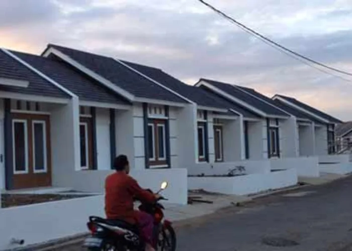 Harapan Pengembang Pemerintah Tunda Kenaikan PPN 12 Persen