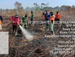 Masuki Musim Kemarau, Tim Terpadu Inhu Berjibaku Padamkan Kebakaran Lahan