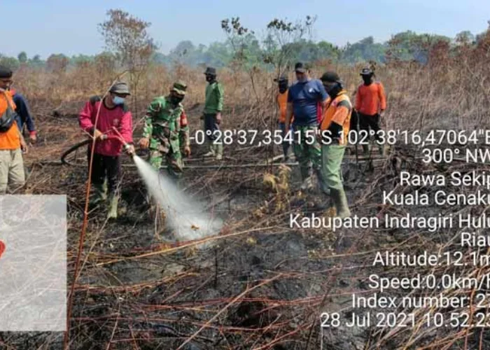 Masuki Musim Kemarau, Tim Terpadu Inhu Berjibaku Padamkan Kebakaran Lahan