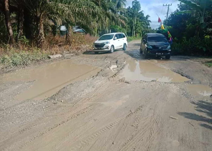 Ketika Rombongan Kapolda Riau dan Bupati Rezita Lewati Jalan Berlobang