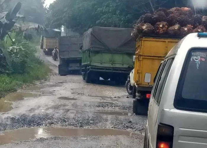 Jalan Lintas Air Molek-Peranap Inhu Rusak Parah, Sudah Ditinjau Gubernur Belum Juga Diperbaiki
