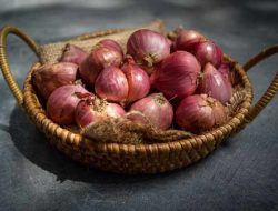 Setidaknya Ada 4 Khasiat Bawang Merah Bagi Kesehatan, Berikut Penjelasannya!