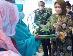 Bupati Rezita Bantu KWT Bibit dan Benih, Manfaatkan Pekarangan Rumah Sebagai Kebun Sayuran