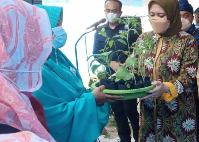 Bupati Rezita Bantu KWT Bibit dan Benih, Manfaatkan Pekarangan Rumah Sebagai Kebun Sayuran