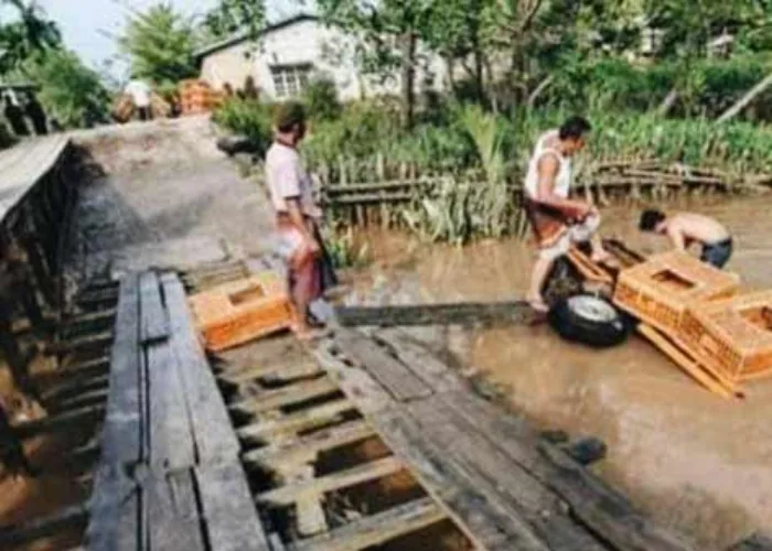 Jembatan Parit 16 di Inhil Makan Korban, Mobil Bermuatan 998 Ekor Ayam Jatuh ke Sungai, Pemilik Merugi Rp226 Juta