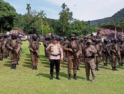 Polda Riau Kirim 100 Personil Brimob Masuk Hutan Rimbang Baling Kampar, Tugasnya Memburu Pelaku Ilegal Logging