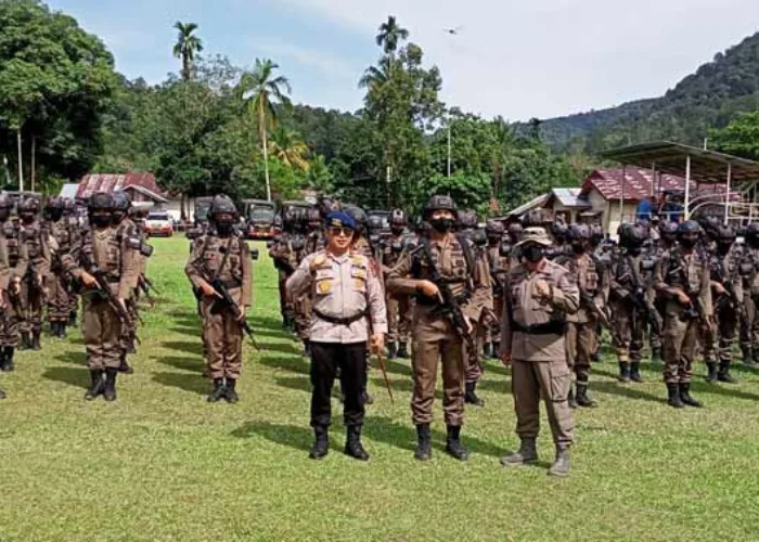 Polda Riau Kirim 100 Personil Brimob Masuk Hutan Rimbang Baling Kampar, Tugasnya Memburu Pelaku Ilegal Logging